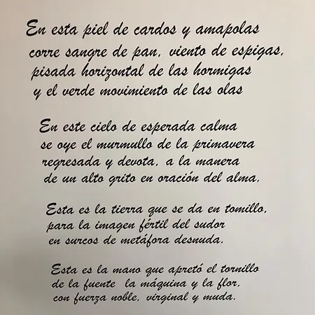 Turísticos Escorraladas 4*