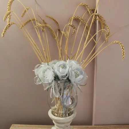 Turisticos Escorraladas Baltanas