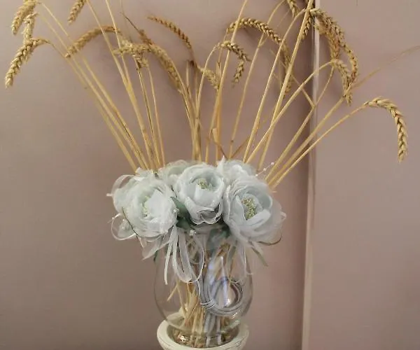 Turisticos Escorraladas Baltanás